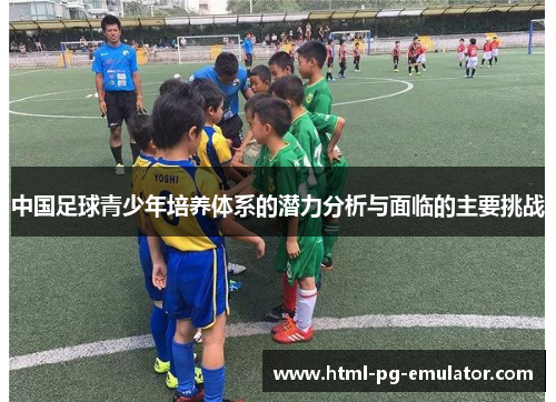 中国足球青少年培养体系的潜力分析与面临的主要挑战 中国足球青少年培养体系的潜力分析与面临的主要挑战