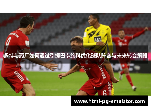 多特与药厂如何通过引援巴卡约科优化球队阵容与未来转会策略 多特与药厂如何通过引援巴卡约科优化球队阵容与未来转会策略