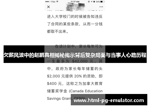 欠薪风波中的赵鹏真相揭秘揭示背后复杂局面与当事人心路历程 欠薪风波中的赵鹏真相揭秘揭示背后复杂局面与当事人心路历程