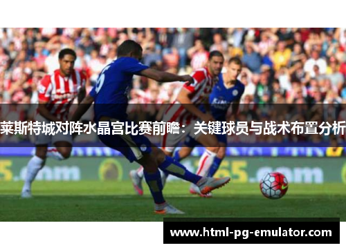 莱斯特城对阵水晶宫比赛前瞻:关键球员与战术布置分析 莱斯特城对阵水晶宫比赛前瞻:关键球员与战术布置分析