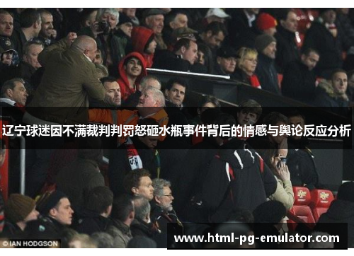 辽宁球迷因不满裁判判罚怒砸水瓶事件背后的情感与舆论反应分析 辽宁球迷因不满裁判判罚怒砸水瓶事件背后的情感与舆论反应分析